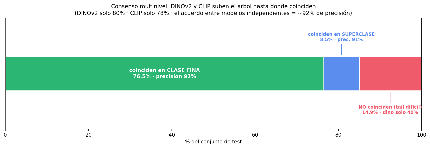 Consenso multinivel DINOv2 y CLIP