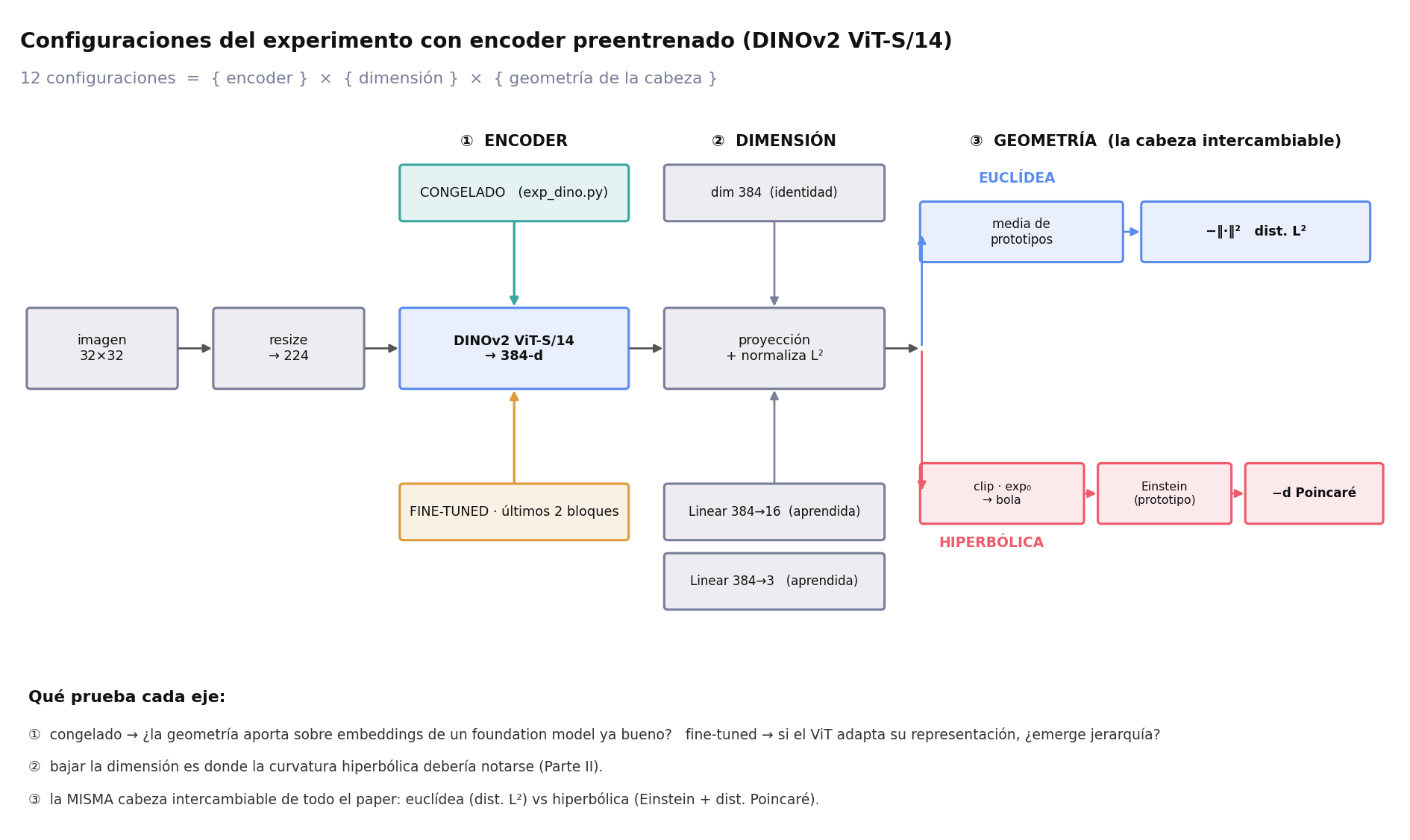 Las 12 configuraciones del experimento con DINOv2