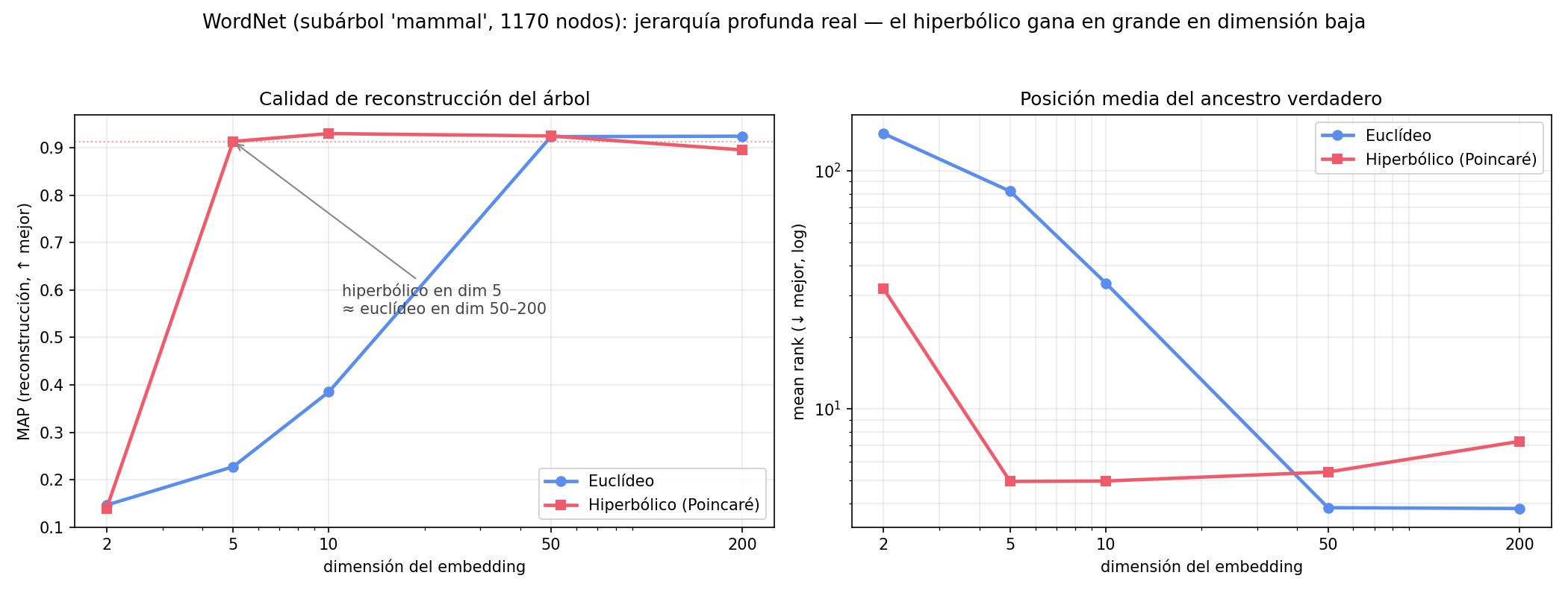 Reconstrucción de WordNet vs dimensión
